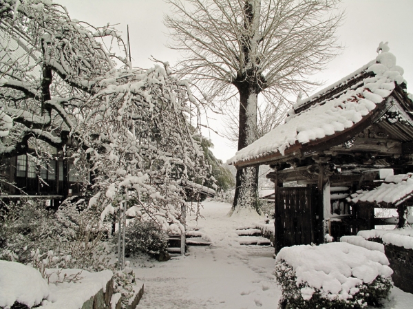 旧本堂雪景色2.jpg