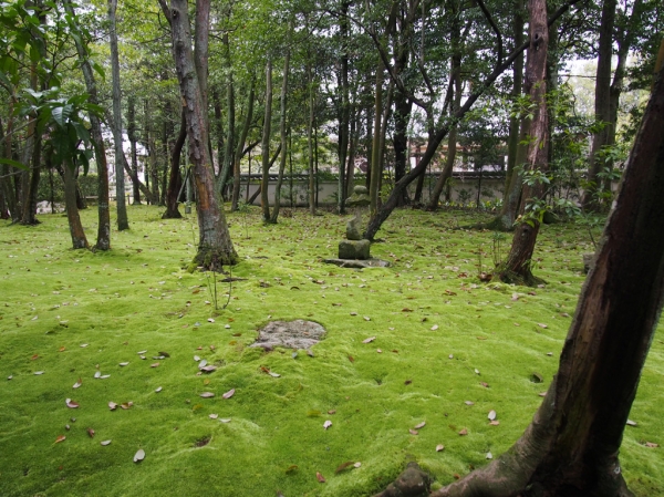 秋篠寺の苔庭.jpg