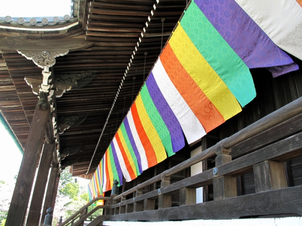 総本山光明寺御影堂を見上げ.jpg